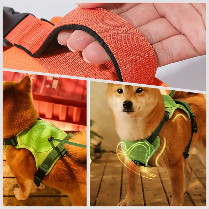 Retractable Dog Leash With No-Pull Harness - Image 9