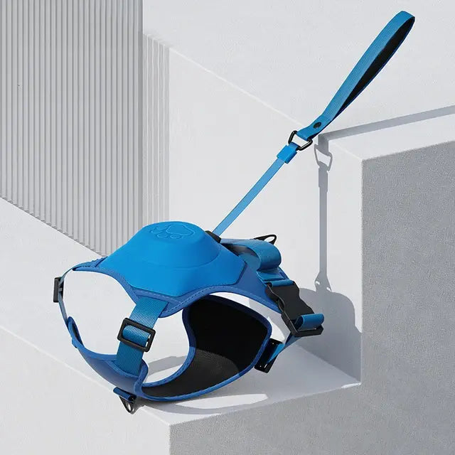 Retractable Dog Leash With No-Pull Harness - Image 13