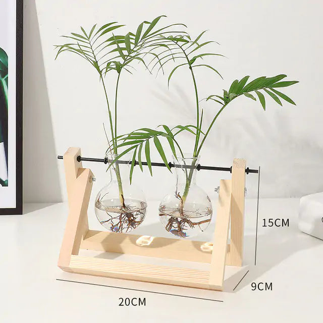 Transparent Vase - Image 16