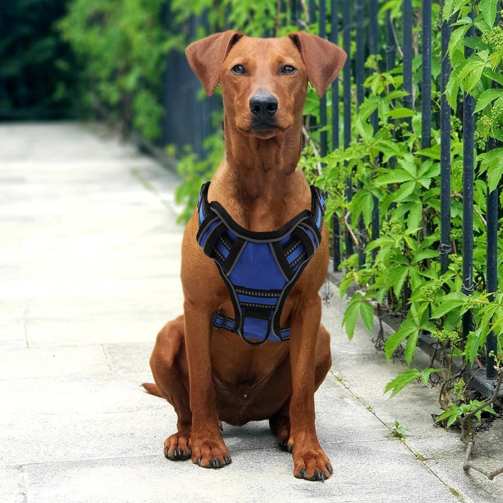 No-Pull Dog Harness With Handle - Image 3