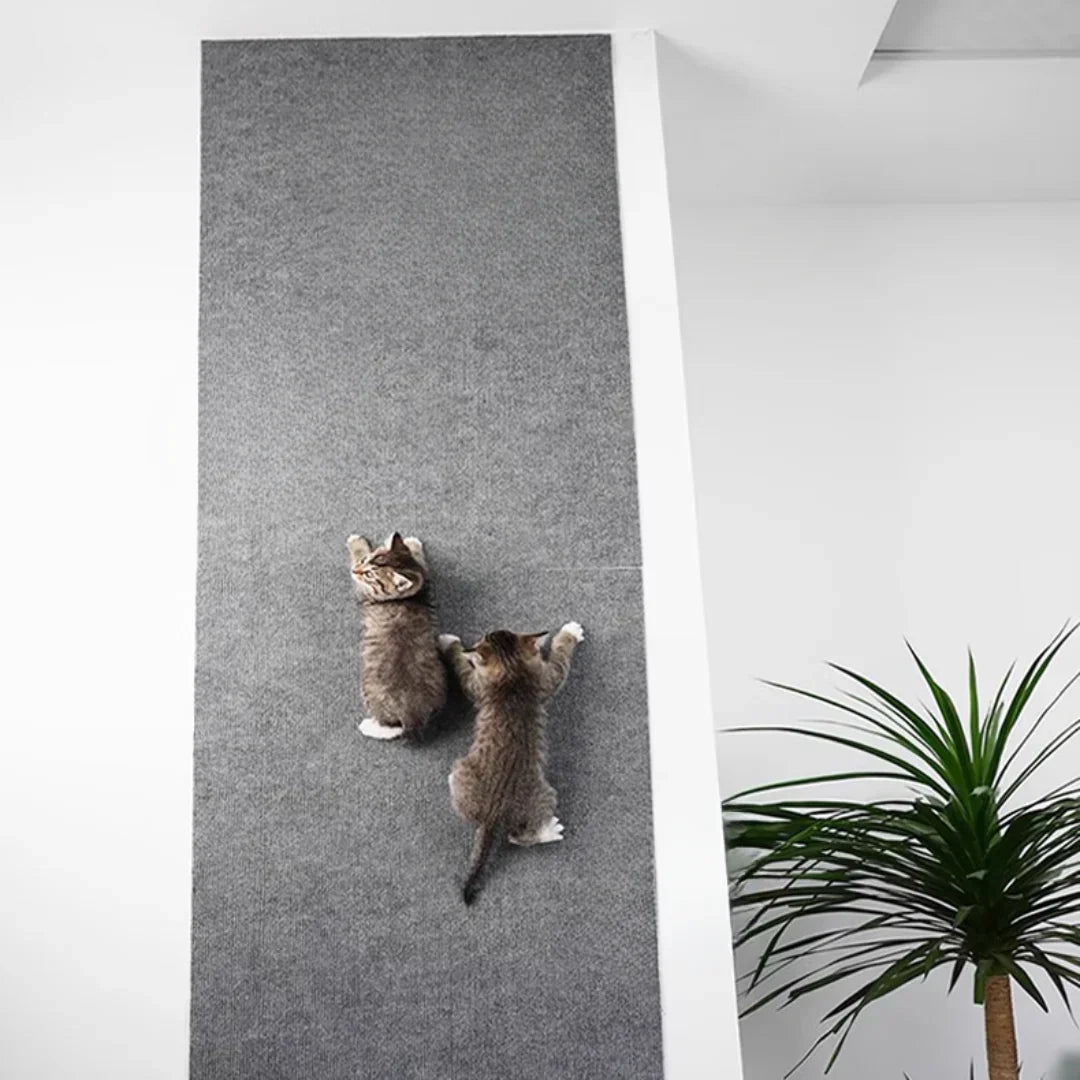 Cat Mat - Image 6
