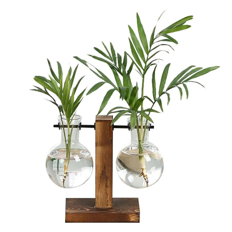 Terrarium Hydroponic Plant Vases - Image 8