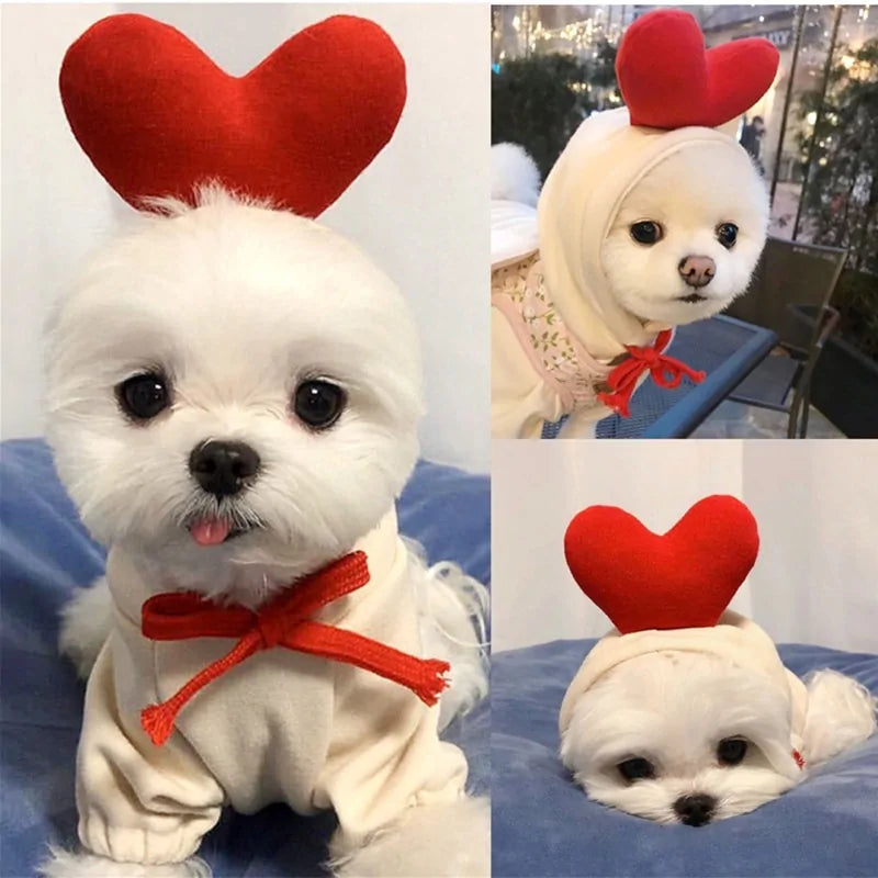 Warm Dog Winter Clothes Cute Fruit Dog - Image 13