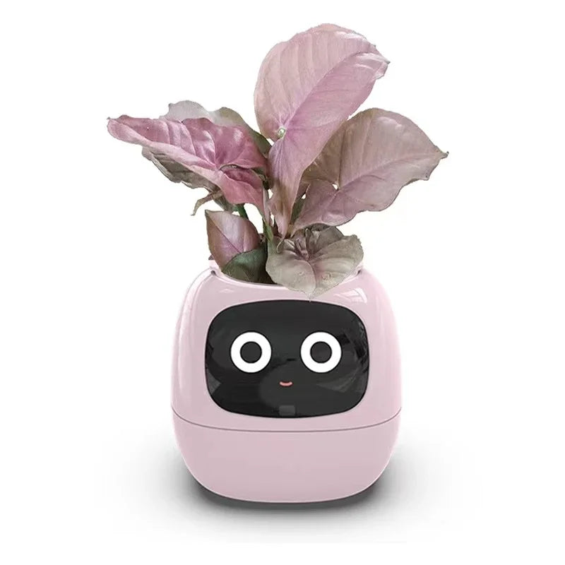 Smart And Adorable Pet Pot Ivy - Image 4