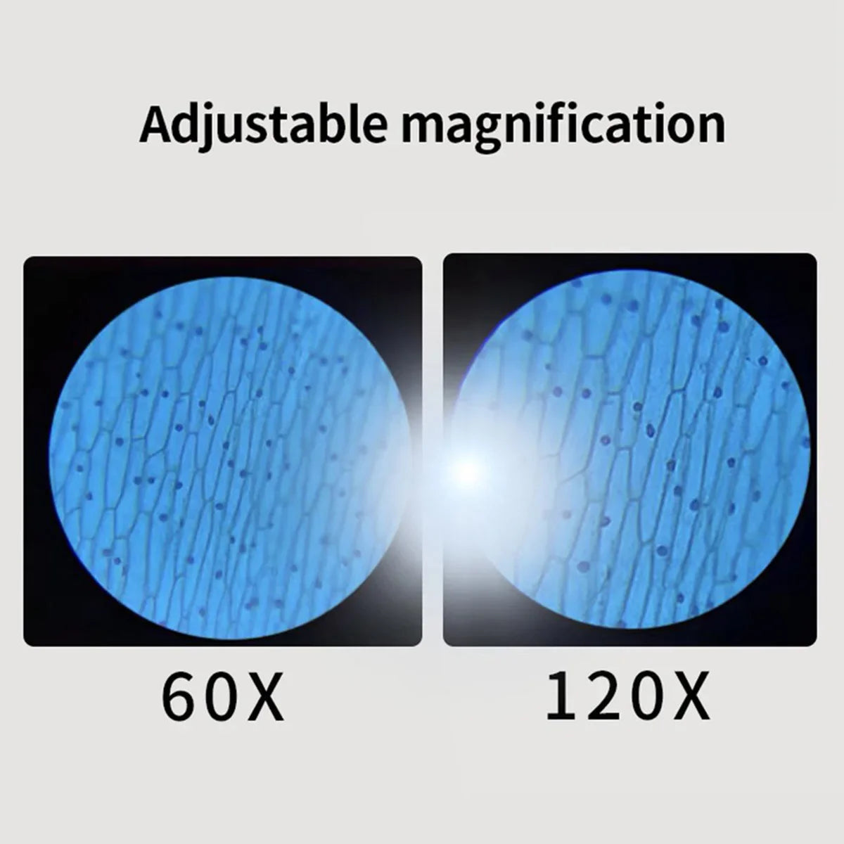 Portable Hd Optical Adventure Microscope - Image 13