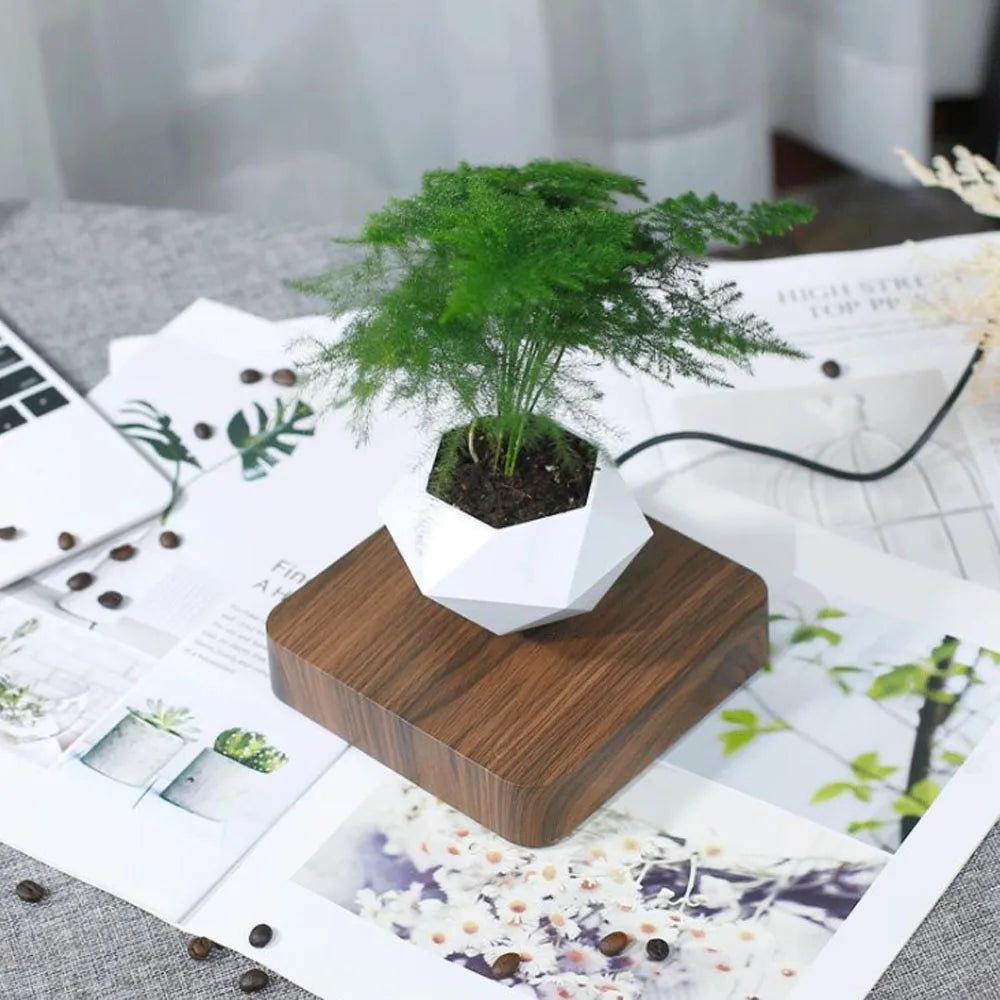 Magnetic Levitation Floating Pot - Image 11