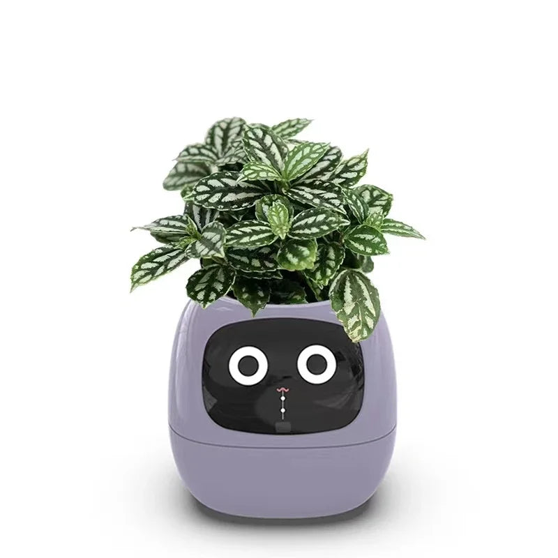 Smart And Adorable Pet Pot Ivy - Image 5