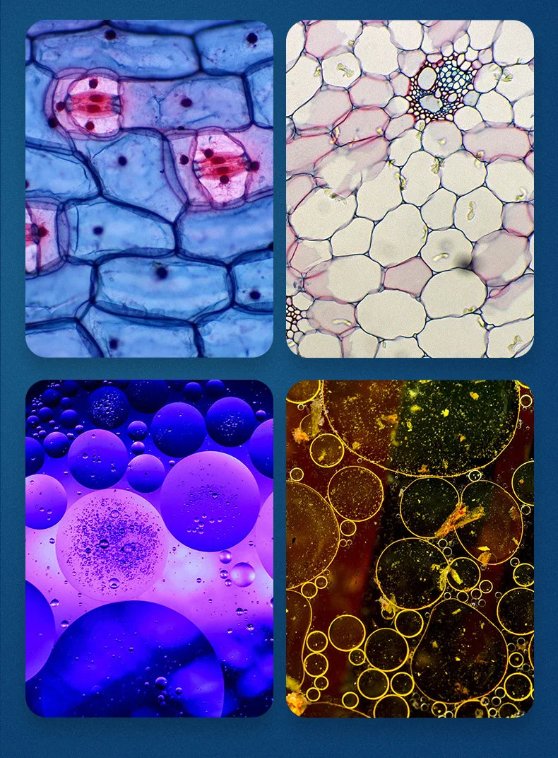 Portable Hd Optical Adventure Microscope - Image 10