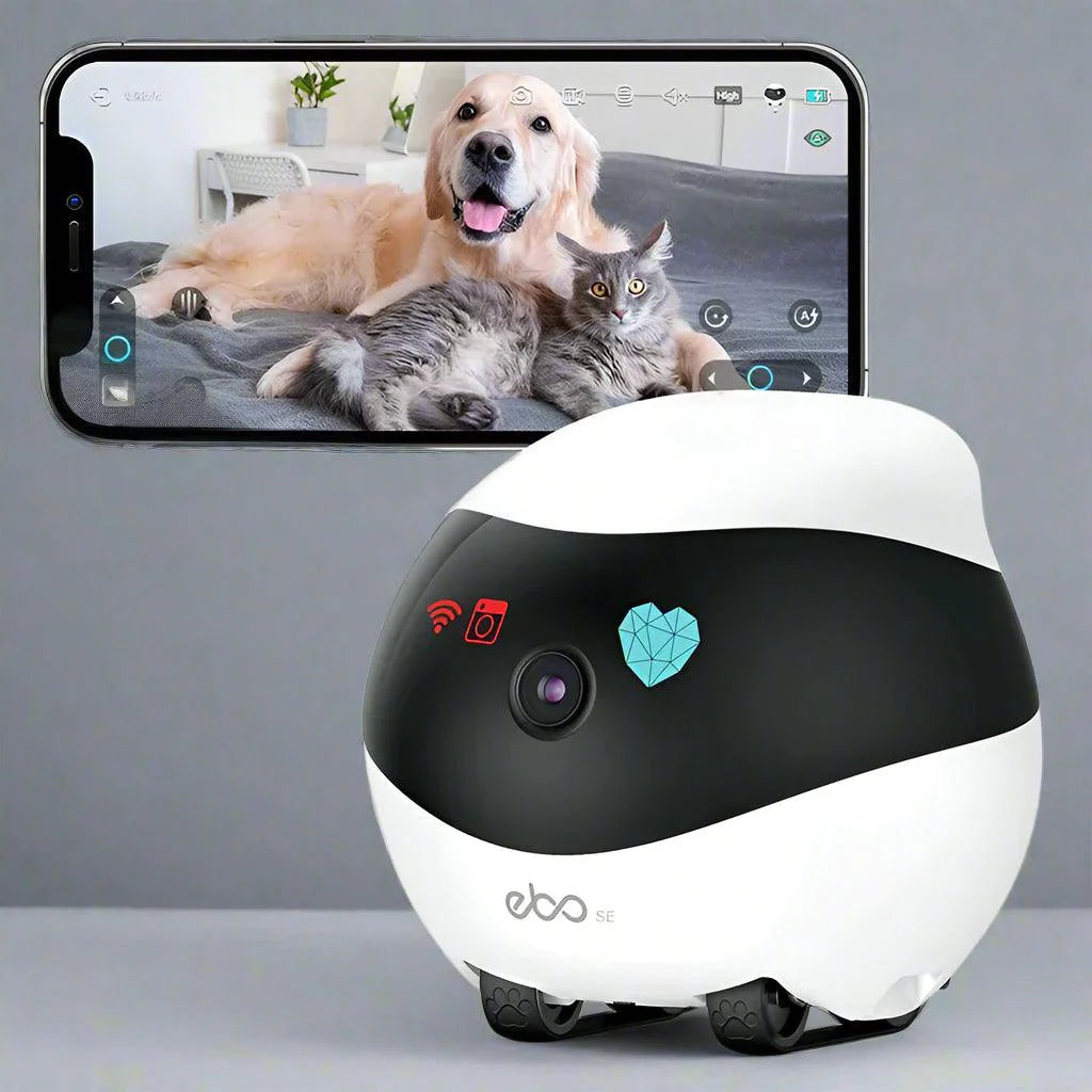 Enabot Ebo Wireless Camera Robot - Image 3