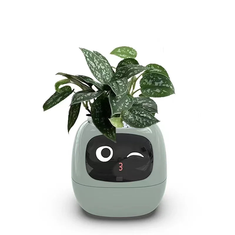 Smart And Adorable Pet Pot Ivy - Image 6