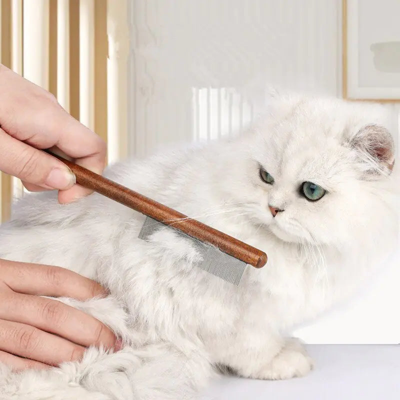 Cat Comb - Image 4