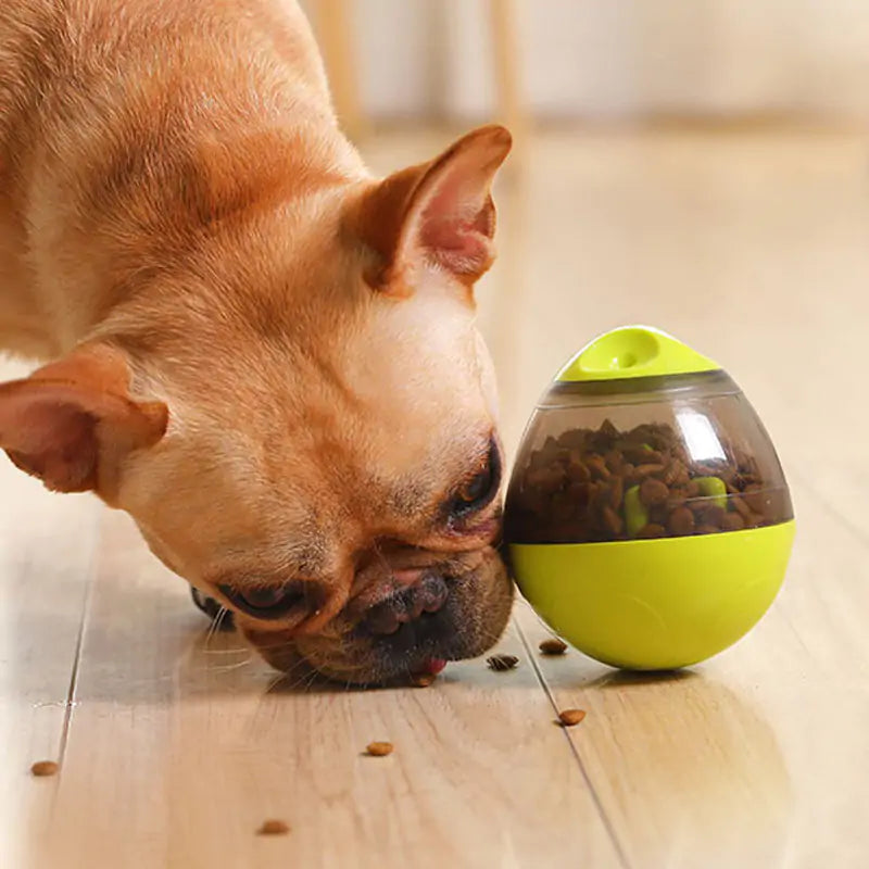 Pet Enrichment Food & Treat Toys - Image 5