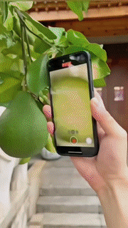 Portable Mobile Led Microscope Lens - Image 3