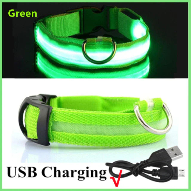 Led Glowing Dog Collar - Image 9