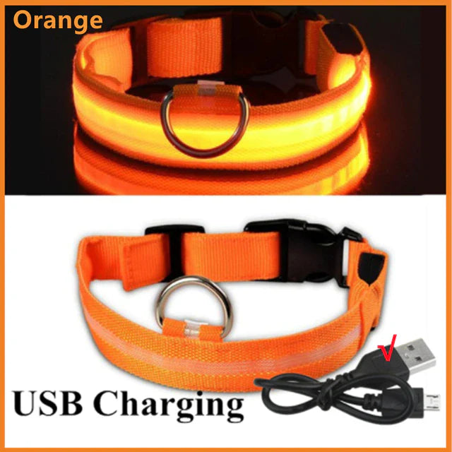 Led Glowing Dog Collar - Image 21
