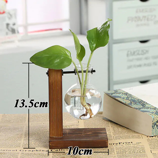 Transparent Vase - Image 4