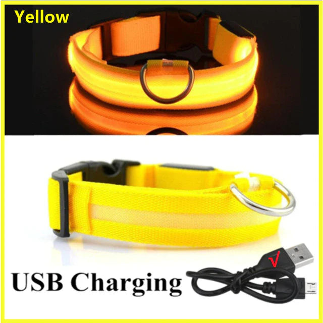 Led Glowing Dog Collar - Image 19