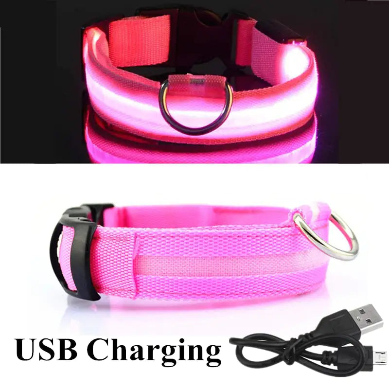 Led Dog Collar - Image 11