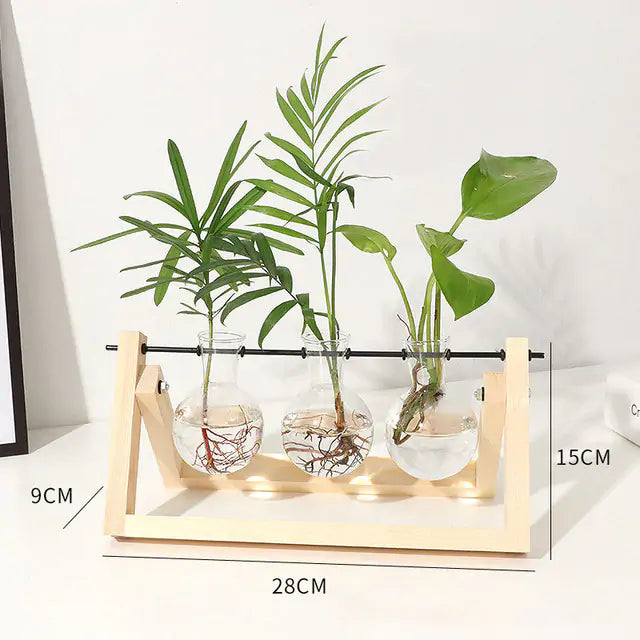 Transparent Vase - Image 17