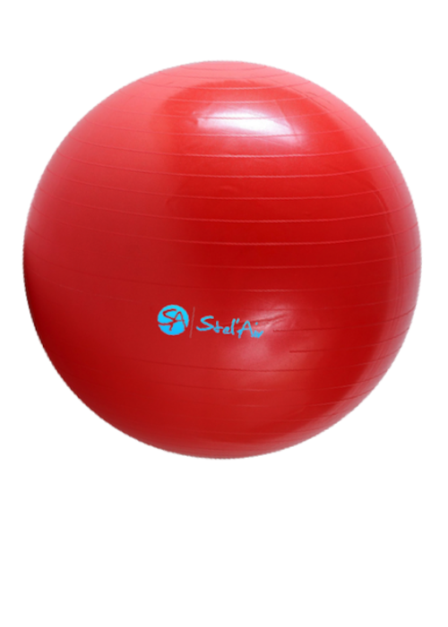 Stel'Air Stability Exercise Balls VC-679 - The Inside ...