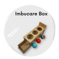 Buy Montessori Imbucare Box For Toddlers Online - SkilloToys.com