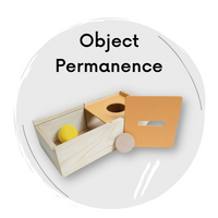 Buy Montessori Object Permanence Box Toy Online - SkilloToys.com