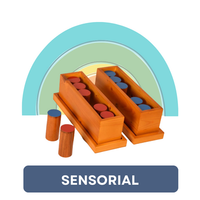 Buy Sensorial Montessori Materials Online in India - SkilloToys.com