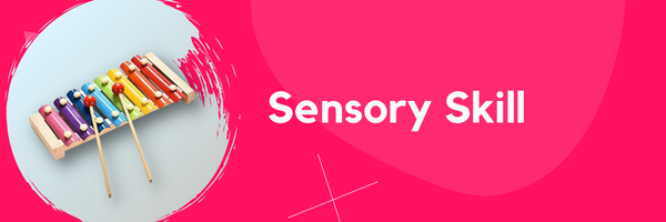 Buy Sensory Skill based Educational Toys Online - SkilloToys.com
