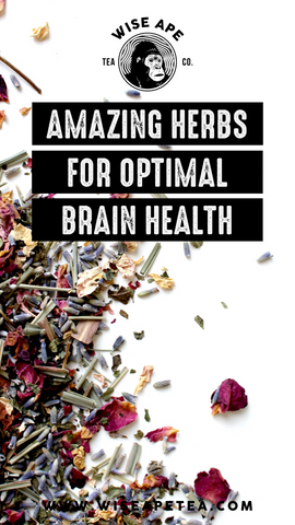 4 Natural Herbs for Brain Health, Memory, And Cognitive Function