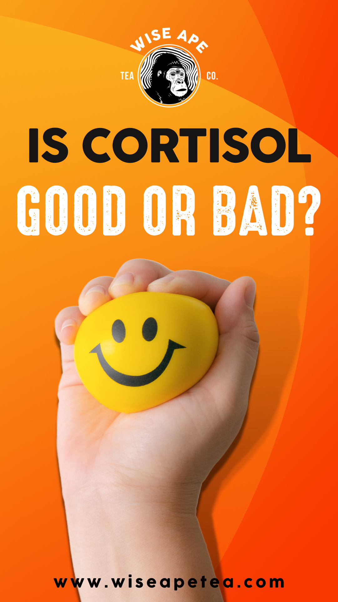 What Is Cortisol And Is Cortisol Good or Bad