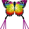 HQ Butterfly Kite Rainbow
