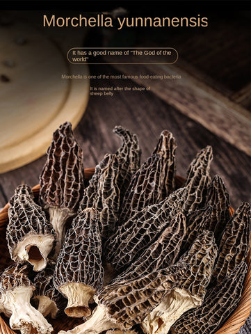 #morel mushrooms#