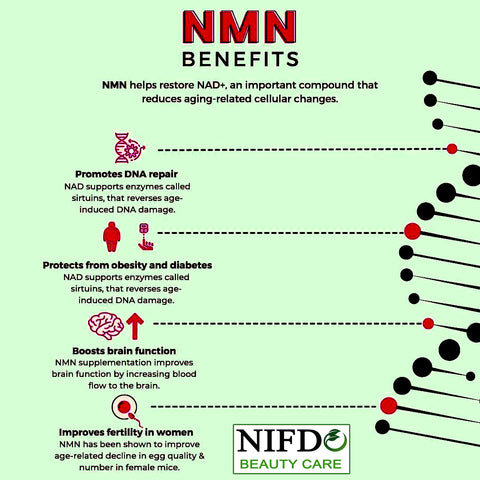 NMN-supplement-price-pakistan-anti-aging-supplements