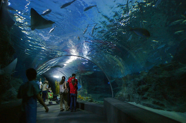 SEA Life Bangkok