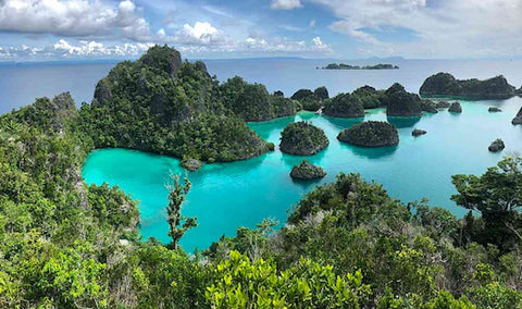 Selayang Pandang tentang Raja Ampat