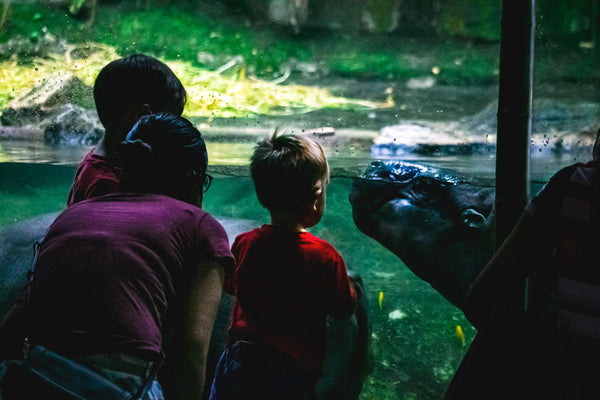 Singapore Zoo