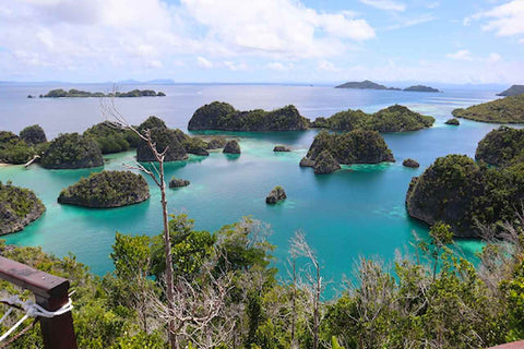 Spot Wisata di Raja Ampat