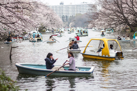 Inokashira Park Tokyo