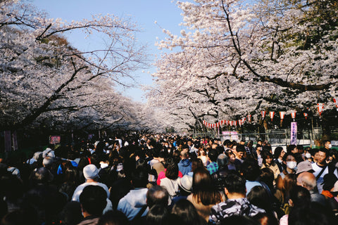 Ueno Park Tokyo