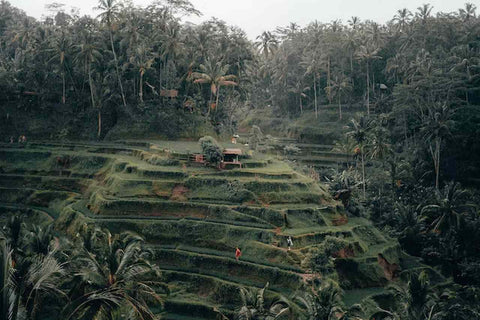 Ubud