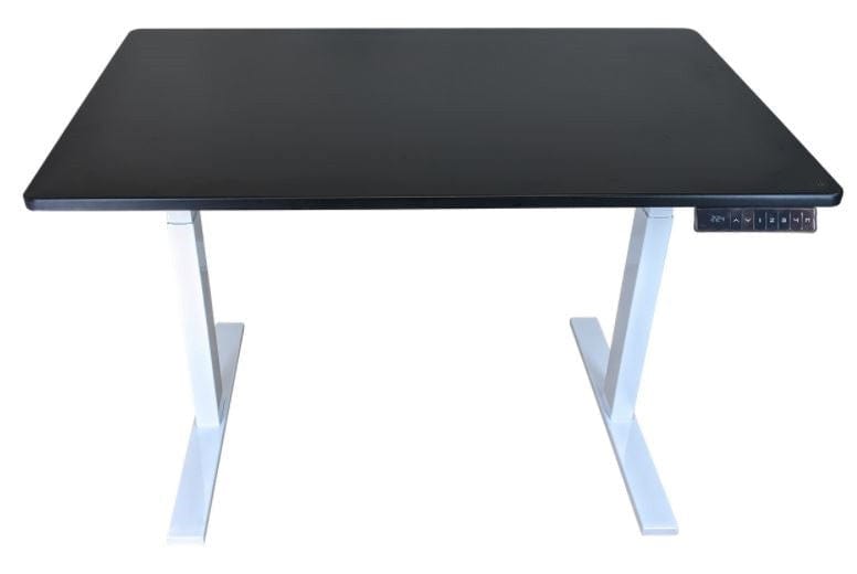 Homeroots Premier 52" White Dual Motor Electric Office Adjustable Standing Desk 397727