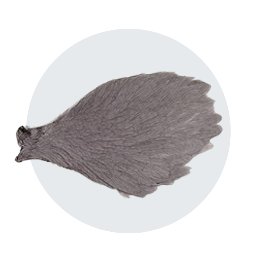 Feathers.png__PID:ce874ce2-bb76-441a-b2ff-115fa00d9f42