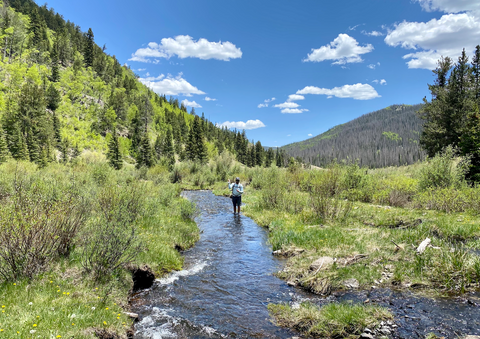 Wet Wade Your Way Through Summer Fly Fishing