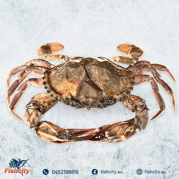 SOFT_SHELL_CRAB