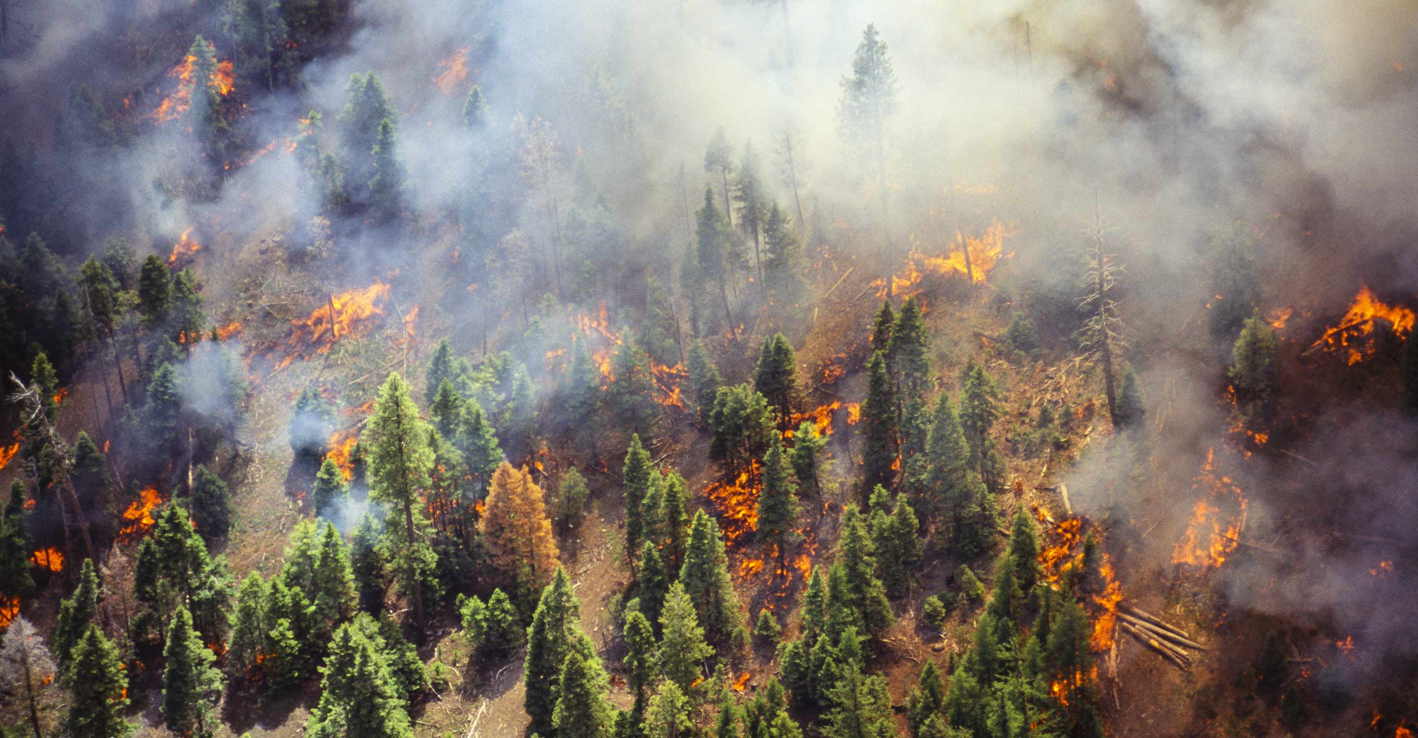 Wildfire Map Spotlight Oregon Wildfires