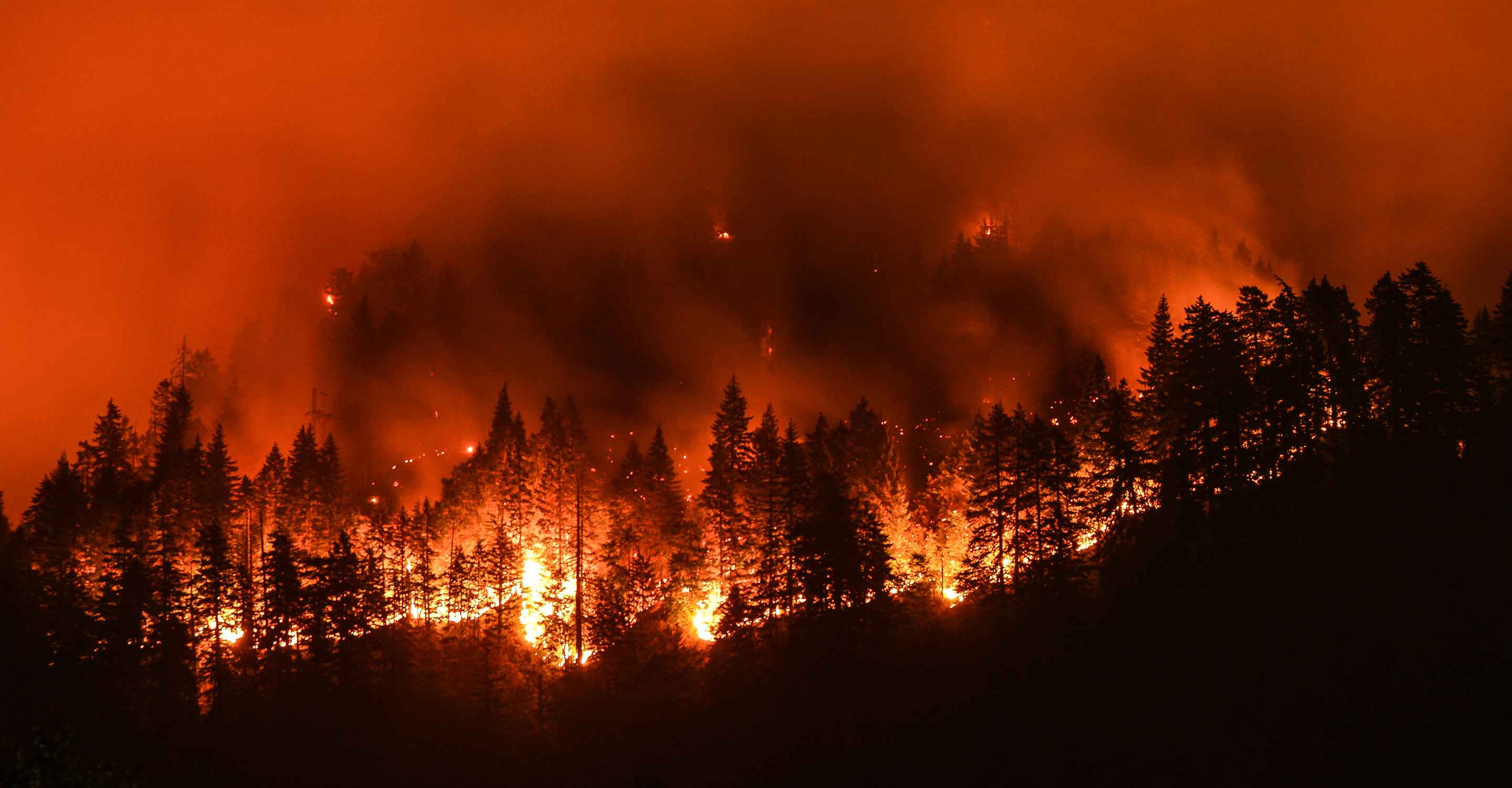 Обзор карты лесных пожаров: лесные пожары в округе Пейдж