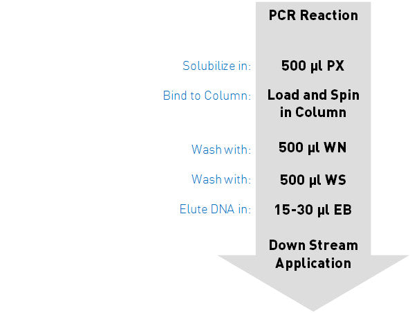 GenCatch PCR Cleanup flow chart