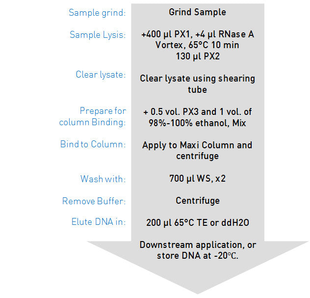 GenCatch Plant Genomic DNA Miniprep flow chart