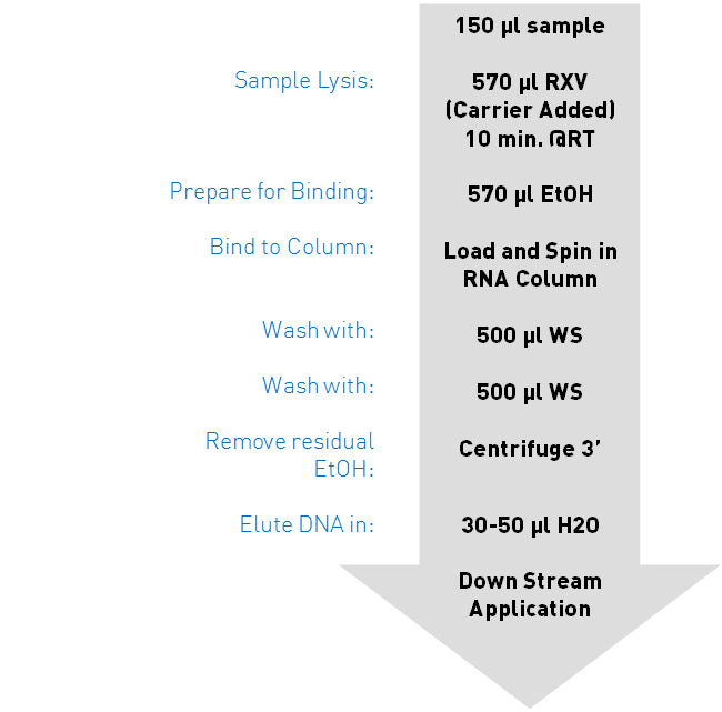 GenCatch Viral RNA Miniprep flow chart