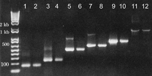 DNA fragment recovery from agarose gel
